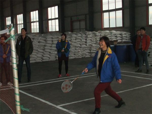 2016年元旦文体活动女子羽毛球比赛留影