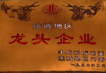 龙头企业