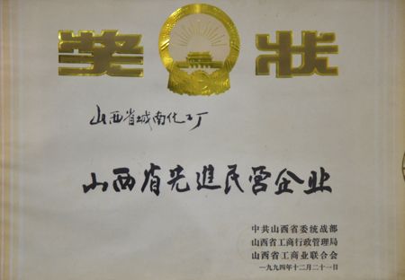 先进民营企业